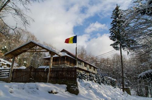NucşoaraCabana Valea Bradului的雪中带旗帜的房子