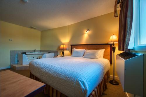 温尼伯公园西旅馆的一间酒店客房 - 带一张床和一间浴室