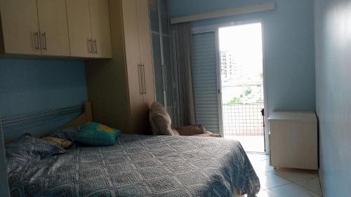 圣保罗Apartamento praia Grande的一间卧室设有一张床和一个大窗户