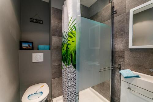 尼斯TAMARIS AP4206 By Riviera Holiday Homes的一间带卫生间和淋浴的浴室