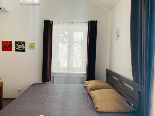 捷克卡梅尼采Summer House的一间卧室设有一张床和一个窗口