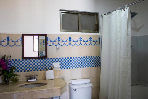 坎佩切航海家旅馆的浴室配有卫生间、盥洗盆和淋浴。