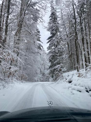 科沃布热格Villa Rasmus的一辆汽车沿着有树木的雪覆盖的道路行驶