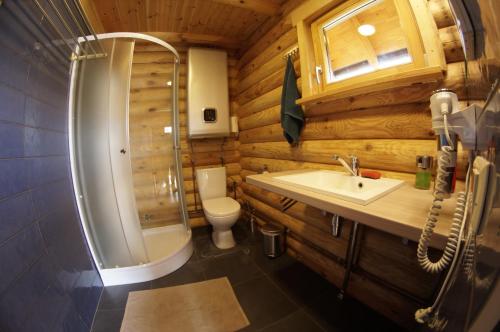 尤卡尔内Brīvdienu mājiņas Zemzari的浴室配有卫生间、淋浴和盥洗盆。