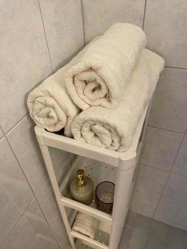 科沃拉Park View Apart的浴室内带毛巾的毛巾架