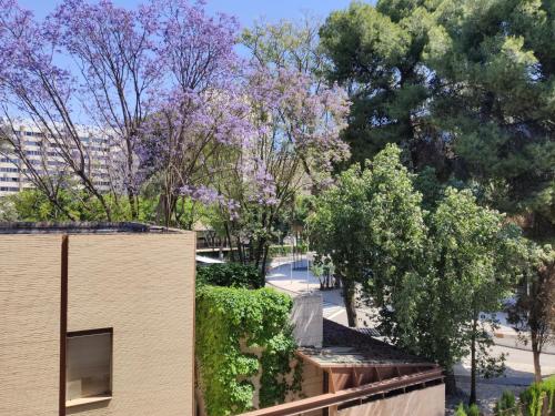 塞维利亚帕萨雷拉酒店的享有建筑和紫色花卉树木的景色