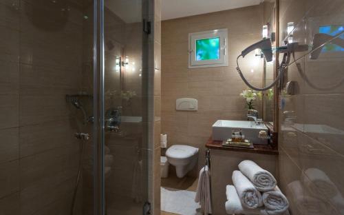 哈马马特新巴达旅馆的带淋浴、卫生间和盥洗盆的浴室