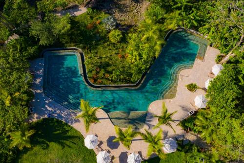 圣塔特蕾莎海滩Hotel Nantipa - A Tico Beach Experience的享有棕榈树游泳池的顶部景致