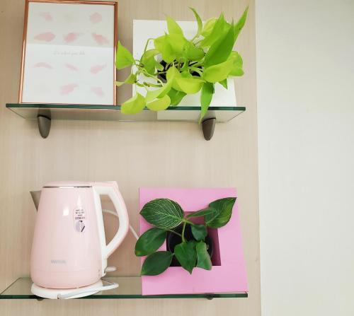 仁川市Cozy - Good Vibes Studio的一个带咖啡壶的架子和上面的植物