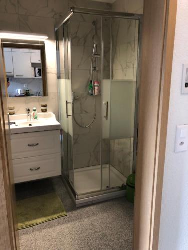 因特拉肯Apartment by Mario的带淋浴和盥洗盆的浴室