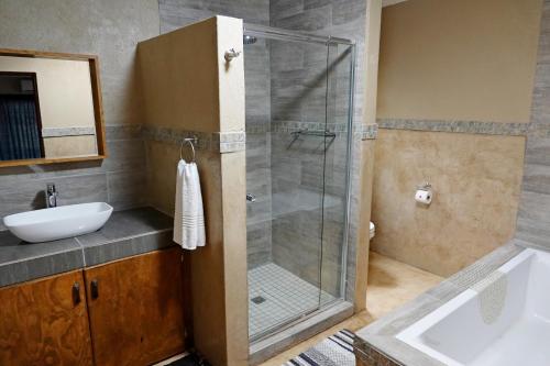 玛洛斯帕克Tau @ Kruger的一间带玻璃淋浴和水槽的浴室