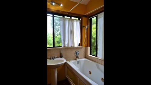 圣伊格纳西奥Sanpopo Tree Top Cottage - A Gold Standard Tourism Approved Vacation Home的带浴缸、水槽和窗户的浴室