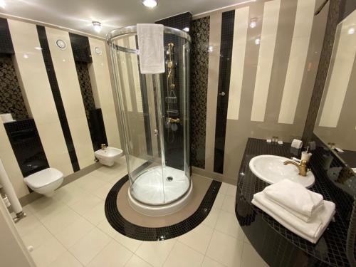 亚斯琴别-兹德鲁伊玻璃尼亚宫酒店的带淋浴、盥洗盆和卫生间的浴室