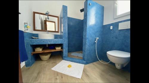 普瓦尼梅查恩加尼Villa Thamani Zanzibar的蓝色的浴室设有卫生间和水槽