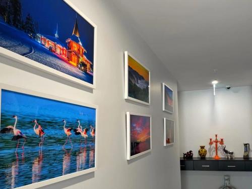 阿波罗湾ODYSSEY APOLLO BAY的挂在墙上的一组图片