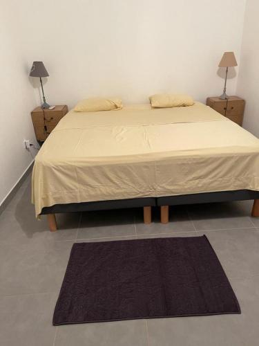 RémiréDuplex Alexandra Ray Luis的一间卧室配有一张带两个床头柜和地毯的床。