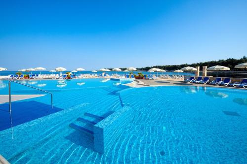 乌马格Apartments Amfora Plava Laguna的一个带椅子和遮阳伞的大型蓝色游泳池