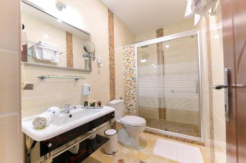 兹拉蒂博尔艾瑞斯酒店的一间带水槽、卫生间和淋浴的浴室