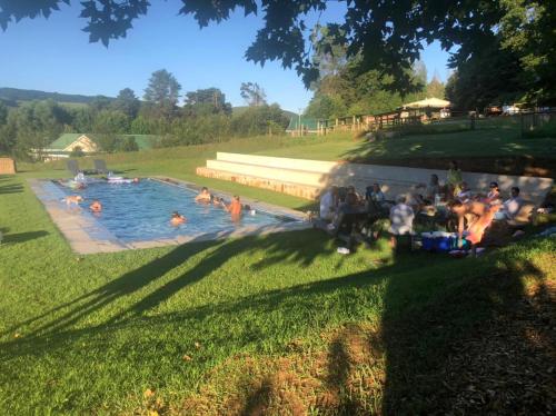 诺丁汉路Lavender Trout Guest Farm的一群人坐在游泳池里