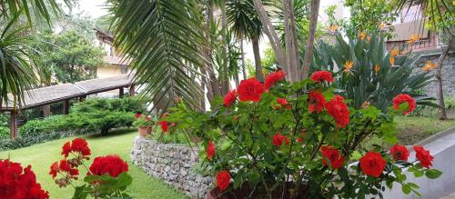 蒙特罗索阿尔马雷阿德利亚纳别墅酒店的一座种有红色花卉和石墙的花园