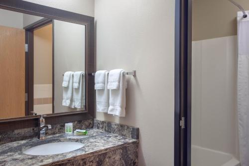 North Branch北布兰奇阿美瑞辛酒店的一间带水槽和镜子的浴室