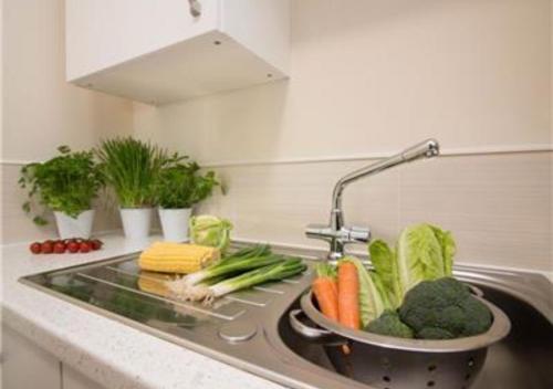 南安普敦StayZo Castle Point 18 Apartments - Premier Lodge的厨房柜台配有带蔬菜的盥洗池