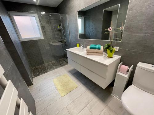 拉隆德莱丝莫里斯chez Muriel et Yves的一间带水槽、卫生间和镜子的浴室