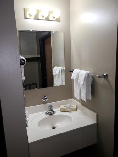 波蒂奇拉普雷里Canad Inns Destination Centre Portage la Prairie的一间带水槽和镜子的浴室