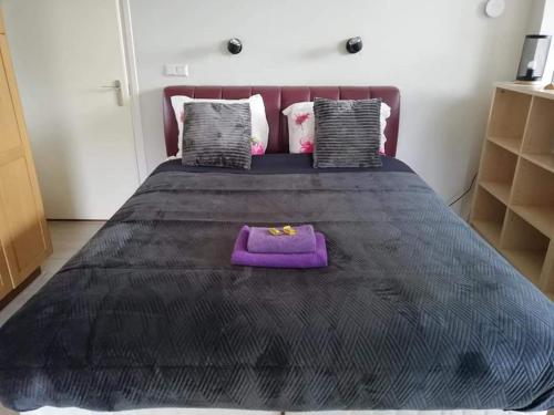 VledderDe Lindehoeve Appartement de Deel的一张黑色大床,上面有紫色枕头