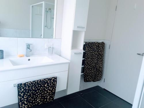 芒阿法埃Mangawhai Modern的一间带水槽和镜子的浴室
