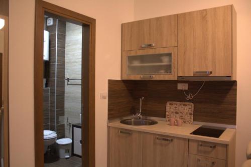 科帕奥尼克Kraljev Konak的一个带木制橱柜和水槽的厨房