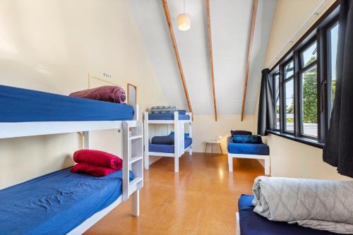 拉格伦Raglan Backpackers的客房设有两张双层床和一张沙发。
