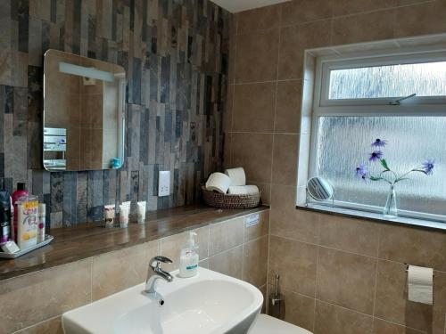 拉姆西At Cedar Lodge Apartment的一间带水槽和窗户的浴室