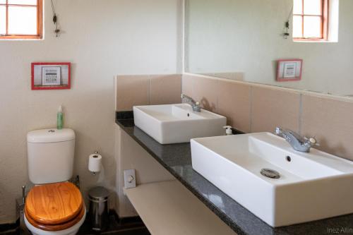 Mica布什里弗尔山林小屋的一间带水槽、卫生间和镜子的浴室
