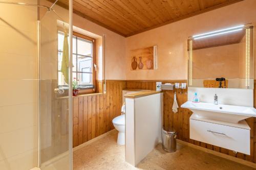 埃恩鲁赫Ferienwohnung-Mediterran的浴室配有卫生间、盥洗盆和淋浴。