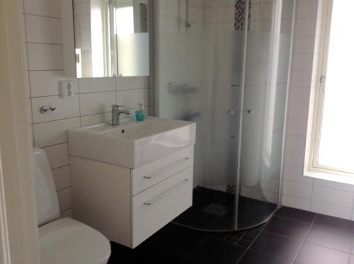 拉霍尔姆Ny Flintarp的一间带水槽、淋浴和卫生间的浴室
