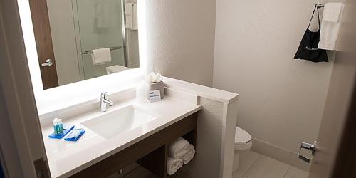 代顿Holiday Inn Express & Suites Dayton North - Vandalia, an IHG Hotel的浴室设有盥洗盆、镜子和卫生间