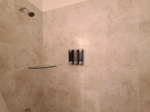 迈阿密Cozy Private Room的带淋浴和大型瓷砖淋浴的浴室