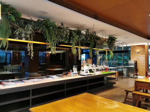 花莲市蓝天丽池饭店的餐厅拥有悬挂在天花板上的植物