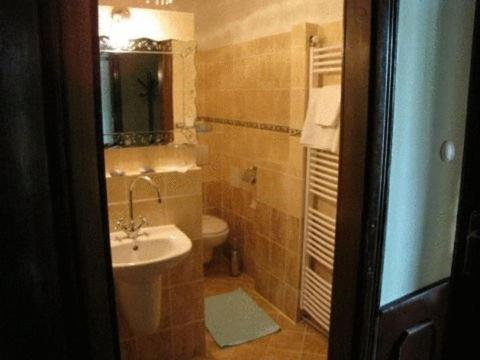 尼特拉扎莫克格洛法酒店的一间带水槽和卫生间的浴室