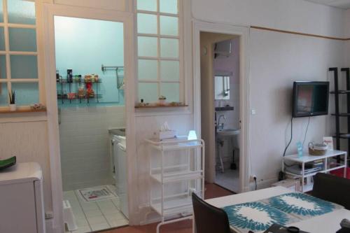 沙泰勒吉永Le Volcan au Vert WIFI 42m2 Face au parc的客房设有带水槽的浴室和电视。