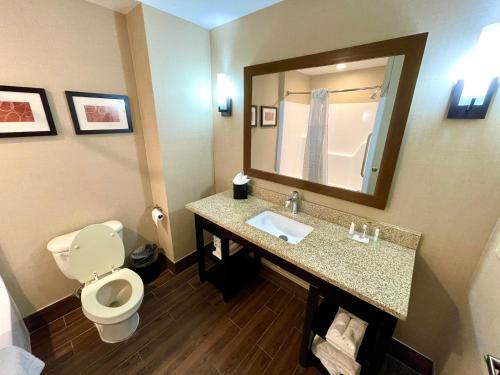布拉夫顿Comfort Suites Bluffton-Hilton Head Island的一间带卫生间、水槽和镜子的浴室