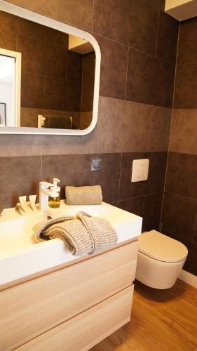 拉罗谢尔Appartements Les Rochelais的一间带水槽、卫生间和镜子的浴室