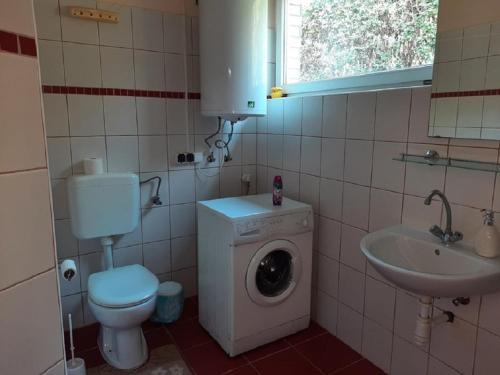 NagybaracskaPonty-Poronty Vendégház的一间带洗衣机和水槽的浴室