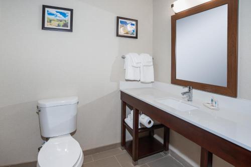 NaugatuckComfort Inn Naugatuck-Shelton, CT的一间带卫生间、水槽和镜子的浴室