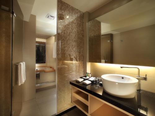 鱼池乡日月潭大饭店的一间带水槽和淋浴的浴室