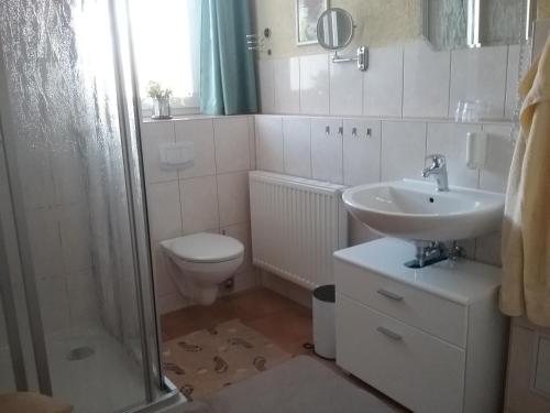 塞芬艾恩科尔弗利恩沃农旅馆的浴室配有卫生间、盥洗盆和淋浴。