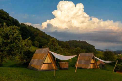 扎雷克Glamping - Ekološka kmetija Kozman的树田里的几个帐篷