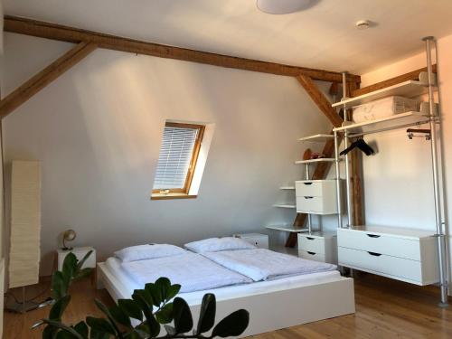 耶拿艾斯布里克两室公寓的一间卧室设有一张床和一个窗口
