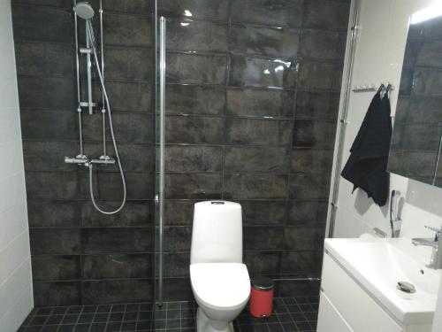 于韦斯屈莱Lutakko Apartment 2 with free car parking的带淋浴、卫生间和盥洗盆的浴室